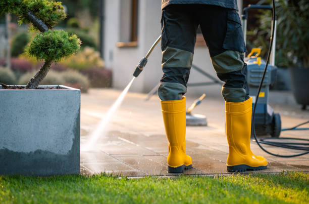 Best House Pressure Washing  in Fruitland, IA